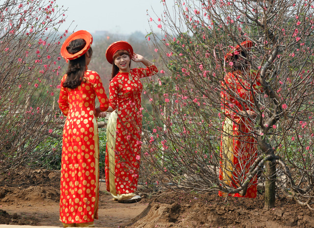 Những thiếu nữ xinh đẹp chụp ảnh trong vườn đ&agrave;o ở thủ đ&ocirc; H&agrave; Nội khi tiết trời đang v&agrave;o xu&acirc;n (Ảnh: Reuters)