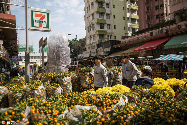 Người d&acirc;n Hong Kong n&ocirc; nức đi xem hoa v&agrave; c&acirc;y cảnh tại chợ hoa Victoria Park (Ảnh: Sina)