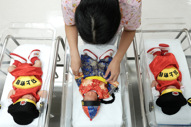 Một nữ y t&aacute; mặc quần &aacute;o truyền thống của người Trung Quốc cho c&aacute;c b&eacute; sơ sinh nh&acirc;n dịp năm mới tại ph&ograve;ng hậu sinh ở bệnh viện Paolo Chockchai, Bangkok, Th&aacute;i Lan. (Ảnh: Reuters)