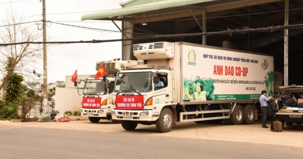 Lâm Đồng hỗ trợ 40 tấn nông sản cho huyện đảo Trường Sa