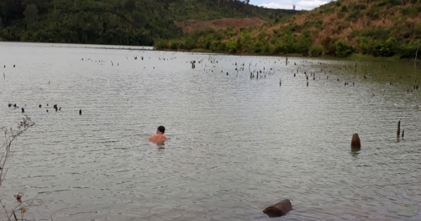 Gia Lai: Hàng chục mét khối gỗ quý dưới lòng hồ thủy điện vẫn đang vô chủ