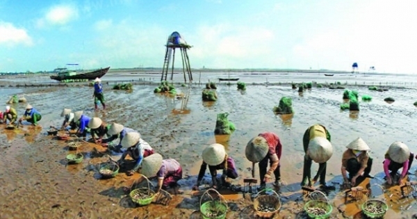 Audio địa ốc 360s: Thành lập Khu kinh tế ven biển Thái Bình quy mô hơn 30 nghìn ha