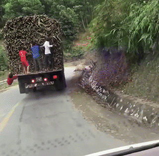 Fast & furious: "Trẩu tre" đu xe tải đang chạy để trộm mía tại Nghệ An