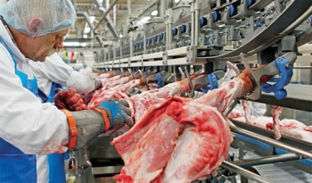 Audio Tài chính Plus: Việt Nam chi gần nửa tỷ USD nhập khẩu thịt