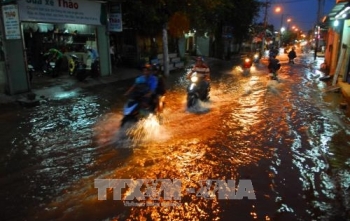 TP Hồ Chí Minh: Cần giải pháp hiệu quả cho vấn đề ngập nước do triều cường