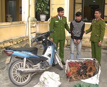 thai binh doi tuong bi truy na van thuc hien trot lot 150 vu trom gia cam