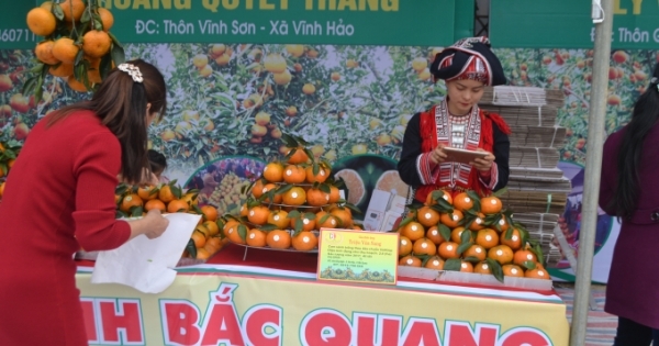 Tỉnh Hà Giang khai mạc tuần lễ Cam sành huyện Bắc Quang