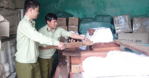 Quảng Nam: Phát hiện xe tải chở hơn 1,7 tấn gỗ quý không rõ nguồn gốc