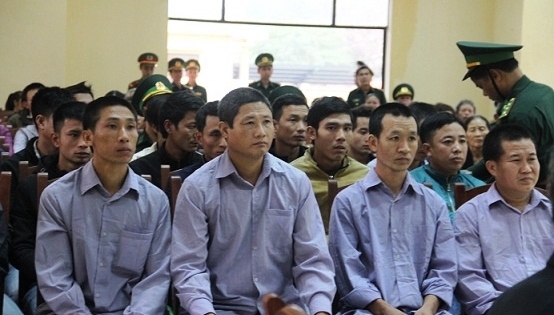 Vụ phá rừng Pơ Mu ở Quảng Nam: "Cứ làm tẹt ga, không sao đâu"