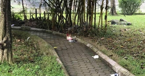 Hà Nội: Thông tin mới nhất về vụ một phụ nữ chết bí ẩn trong vườn hoa, thi thể không có quần