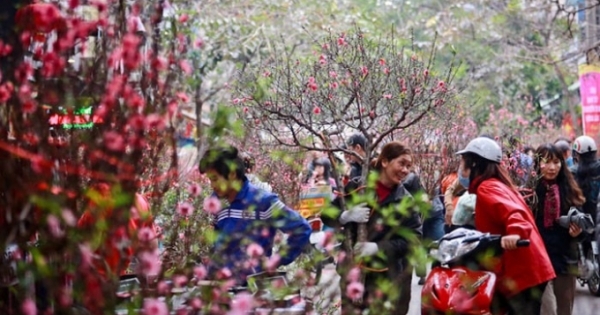 Hà Nội sẽ tổ chức 64 điểm chợ hoa Xuân phục vụ Tết Nguyên đán Kỷ Hợi