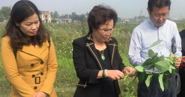 Cầu nối đưa nông sản Việt hội nhập quốc tế