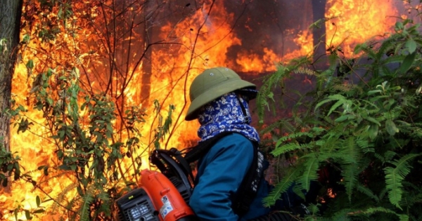 Tặng Huân chương dũng cảm cho người phụ nữ quên mình cứu rừng giữa biển lửa