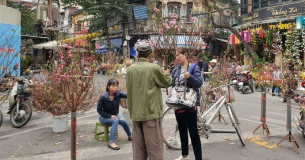 Chợ hoa Hà Nội vào vụ Tết