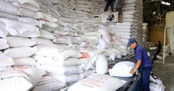 Hỗ trợ gạo cho tỉnh Nghệ An trong dịp Tết Nguyên đán Canh Tý 2020