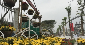Con đường hoa đẹp như mơ “hút hồn” du khách tại thành phố Vinh ngày Tết