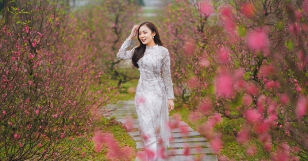 “Thành phố biển hồ” đón thêm kỷ lục mới với Lễ hội hoa đào lớn nhất mở cửa xuyên Tết