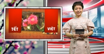 Bản tin Tết Việt 2020: Lễ chùa đầu xuân, miền tâm thức linh thiêng