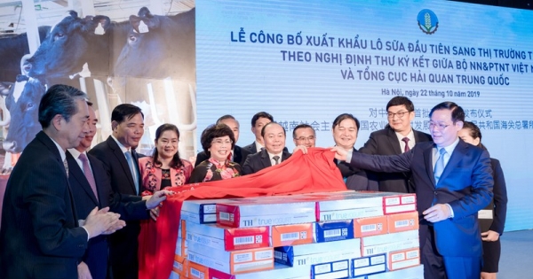 Dấu ấn ly sữa tươi của Việt Nam tại những thị trường tiềm năng của thế giới