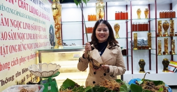 Lô sâm tươi trị giá hơn 6 tỷ bày bán tại chợ sâm Quảng Nam