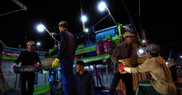 Trắng đêm mưu sinh ở cảng cá lớn nhất miền Trung
