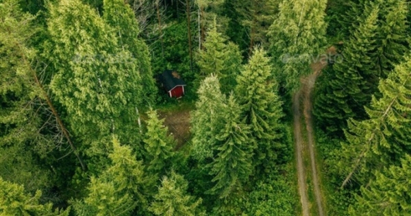 Bài học giải cứu rừng từ Vương quốc Na Uy
