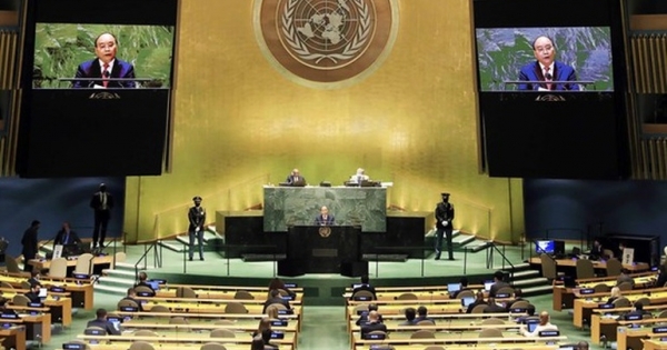 Dấu ấn Việt Nam trong vai trò quan trọng tại Hội đồng Bảo an Liên Hợp Quốc