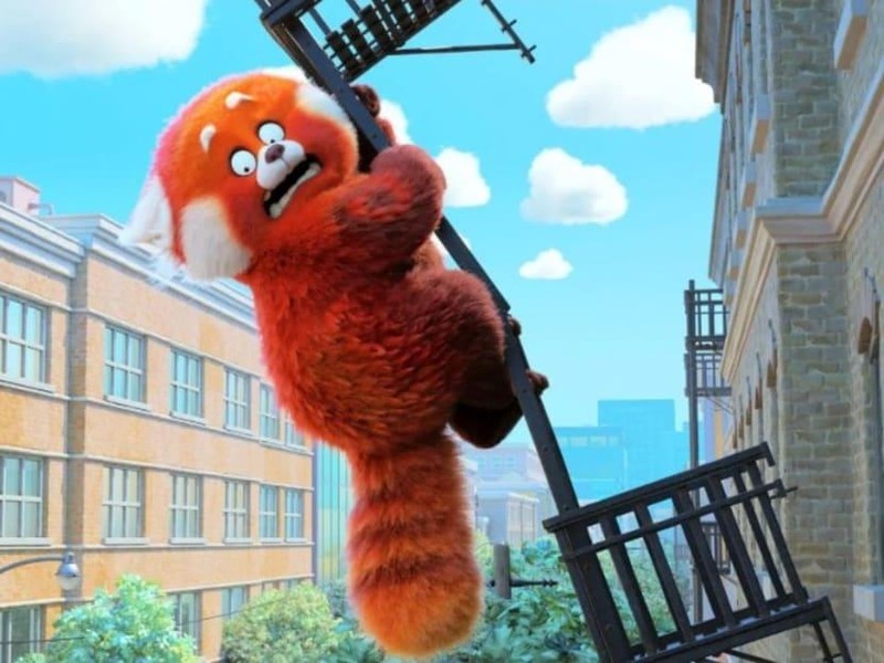 Nhân vật chính có thể biến thành gấu trúc đỏ khi hoảng sợ hoặc phấn khích. Ảnh: Pixar