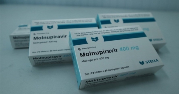 Việt Nam được nhượng quyền cung cấp Molnupiravir đến 105 nước