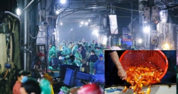 Video: Chợ cá lớn nhất Hà Nội tấp nập từ sáng tinh mơ trước ngày cúng ông Công, ông Táo