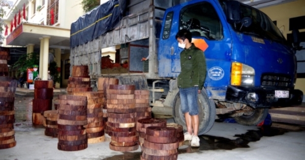 Hơn 292 khúc gỗ nghiến dạng thớt đang trên đường đi tiêu thụ thì bị bắt giữ