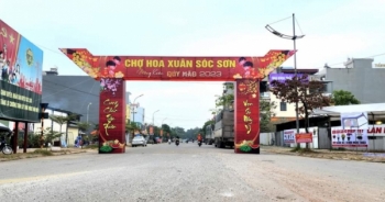 Huyện Sóc Sơn tổ chức 5 điểm chợ hoa phục vụ Xuân Quý Mão 2023