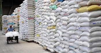 Xuất cấp hơn 243 tấn gạo hỗ trợ người dân nghèo ở hai tỉnh đón Tết