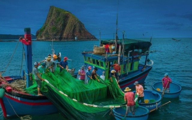 Bình Thuận: Phối hợp tìm kiếm tàu cá có 2 thuyền viên bị mất liên lạc trên biển