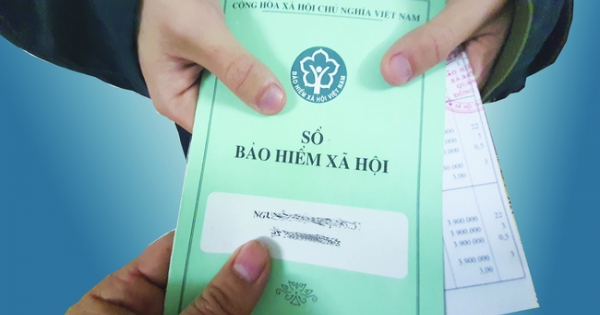 Công ty Môi trường & Công nghệ Xanh Việt bị xử phạt vì chậm đóng BHXH