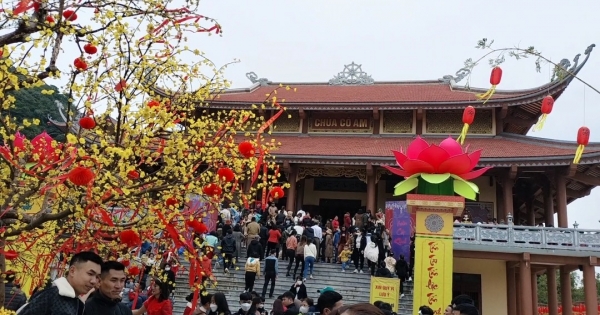 Nghệ An: Hàng nghìn du khách đổ về chùa Cổ Am thăm viếng, xin tài lộc