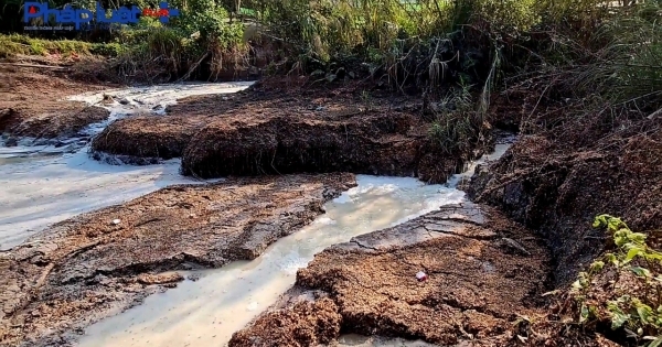 Cần làm rõ việc xưởng chế biến bột sắn xả thải xuống sông Nậm Na