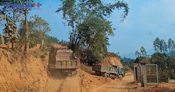 Chủ tịch UBND huyện Sơn Dương chỉ đạo xử lý nghiêm vụ doanh nghiệp múc đất rừng đi lấp ruộng