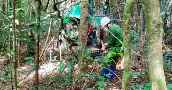 Kon Tum: Hai bố con đi lạc trong rừng nhiều ngày đã được tìm thấy