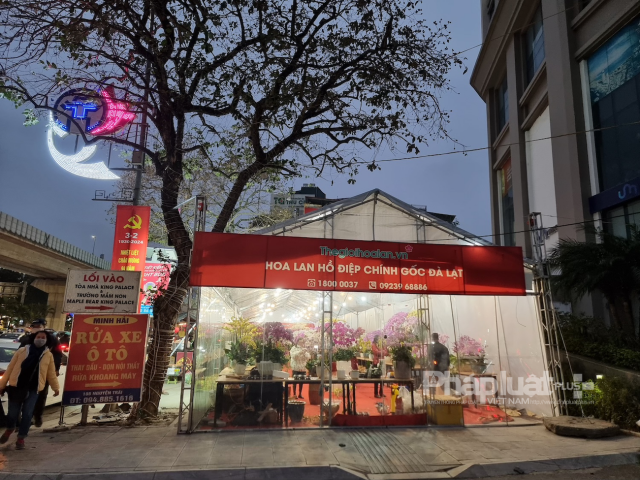 Hà Nội: Ẩn họa cháy nổ từ những nhà bán bày hoa lan ngày Tết