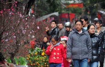 Hà Nội: Tổ chức chợ hoa xuân tại 47 địa điểm trên toàn Thành phố