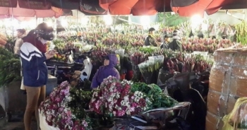 Chợ hoa đêm Quảng An: Rực rỡ và nhộn nhịp ngày giáp tết