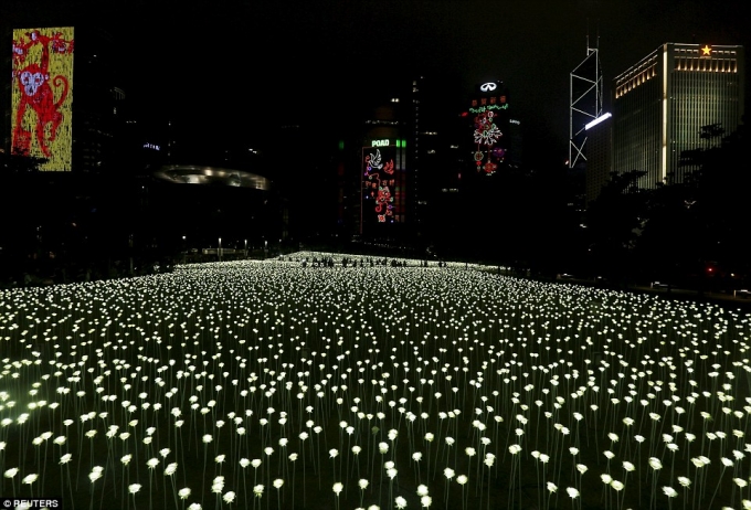 Hồng K&ocirc;ng lung linh, huyền ảo với m&agrave;n thắp s&aacute;ng của 25.000 b&ocirc;ng hoa hồng trắng được l&agrave;m bằng đến LED. (Ảnh: Reuters)