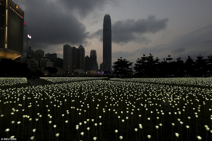 Buổi tối, Hồng K&ocirc;ng c&agrave;ng trở n&ecirc;n rực rỡ, huyền ảo. (Ảnh:Reuters)