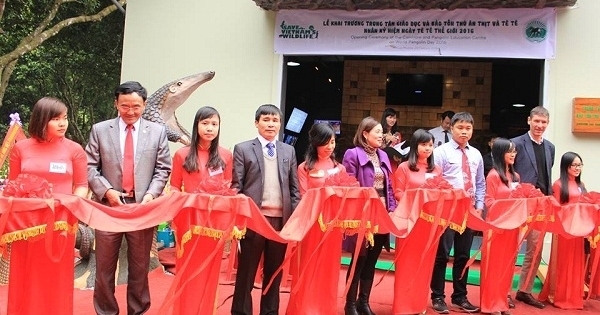 Khai trương Trung tâm Giáo dục và Bảo tồn Tê tê tại Việt Nam