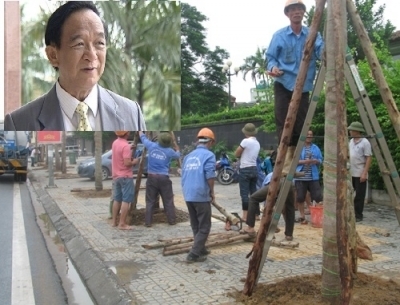 GS Nguyễn Lân Dũng: ‘Đi nước ngoài học trồng cây người ta cười cho