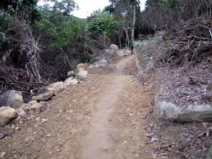 Con đường dẫn đến khu vực rừng bị ph&aacute;.