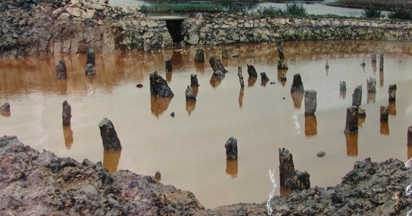 Bảo tồn Khu di tích lịch sử Chiến thắng Bạch Đằng, Quảng Ninh