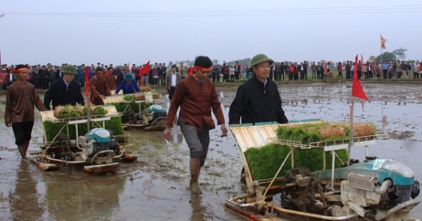 Bí thư, Chủ tịch tỉnh Thanh Hóa lội ruộng cấy lúa cùng nông dân