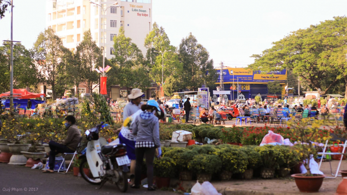 Kh&aacute;m ph&aacute; chợ hoa ở Đắk Lắk trước ng&agrave;y tết Đinh Dậu 2017